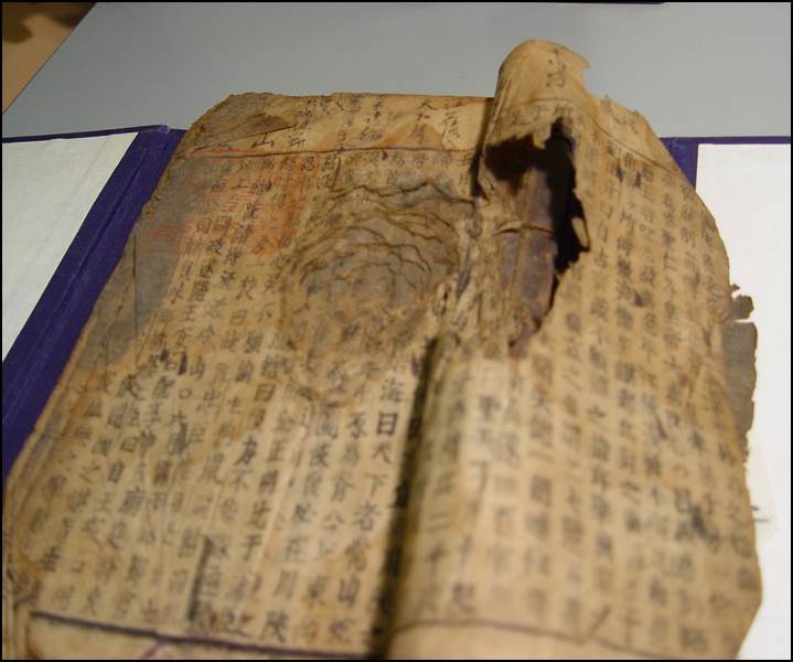 원 자료 처리 전 상태 촬영 예시 사진